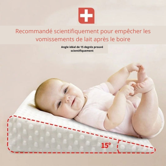 Coussin-d_allaitement-scientific