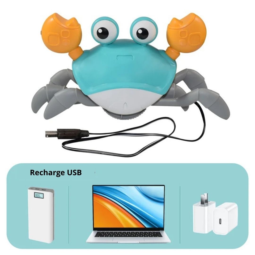 Jouet-musical-bebe-craby-squidly-usb